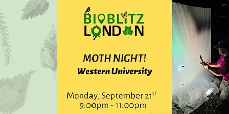 Moth Night #1 at Western University