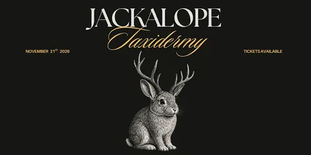 Taxidermy Jackalope Workshop