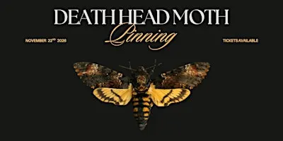 Death's-Head HawkMoth Pinning Workshop