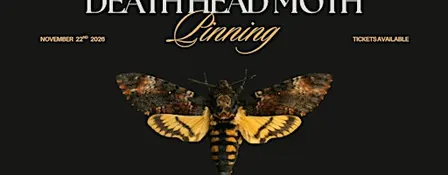 Death's-Head HawkMoth Pinning Workshop