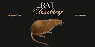 Rat Taxidermy Workshop