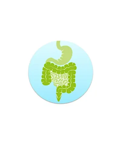 Gut Health/Brain Health