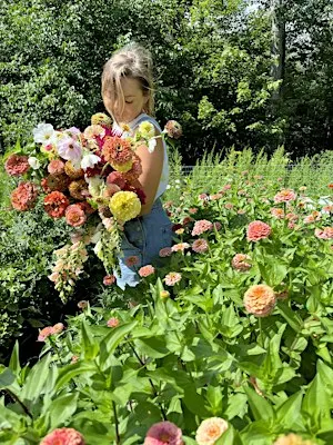 Dried Floral Pumpkin Decorating Workshop!
