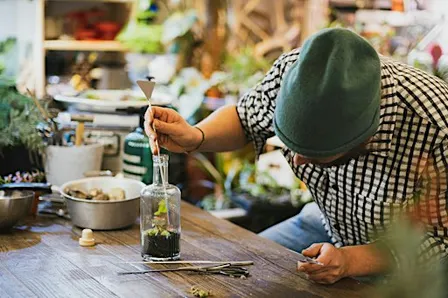 Terrarium Workshop