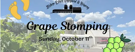 Grape Stomping at Bishop Estate Vineyard & Winery