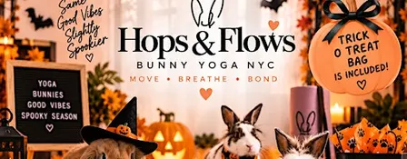 Halloween Bunny Yoga: Hops & Flows NYC