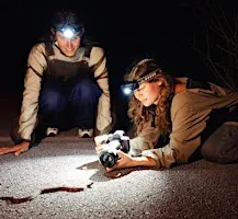 Snake Research Field Lab