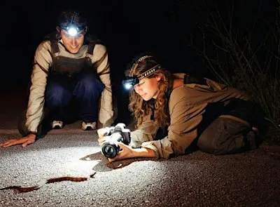Snake Research Field Lab