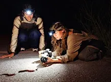 Snake Research Field Lab