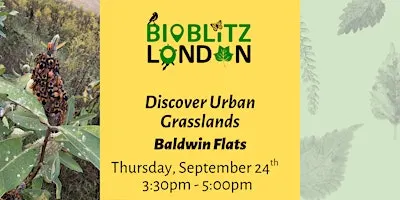 Discover Urban Grasslands - Baldwin Flats Guided Walk