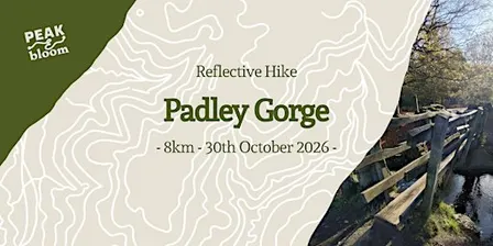 Padley Gorge | Peak District | Reflective Guided Hike