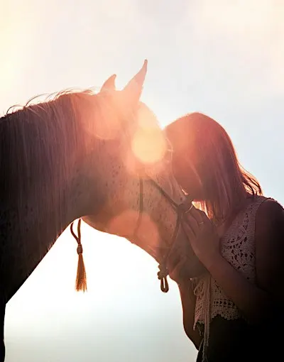 Mindful Horse Walk – Nervous System Regulation & Connection