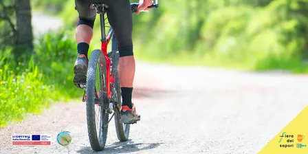 Cicloescursione sul territorio