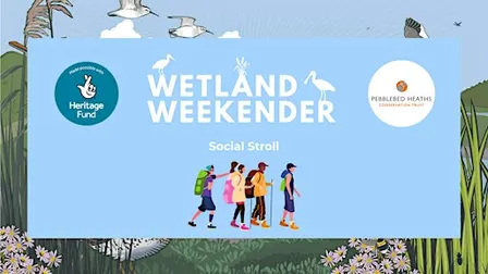 Wetland Weekender: Social Stroll