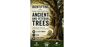 Celebrating our oldest trees in Stafford Borough