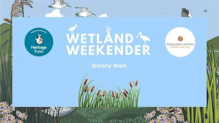 Wetland Weekender: Botany Walk