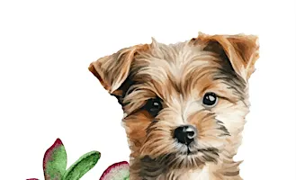 Pups and Plant Bingo hosted by Roaming Rootz LLC