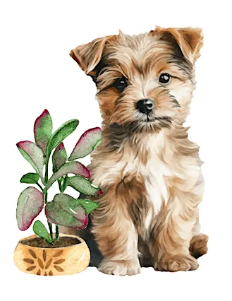 Pups and Plant Bingo hosted by Roaming Rootz LLC