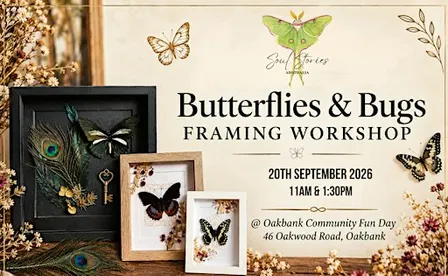 Butterfly & Bug Framing Workshop