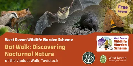Bat Walk: Discovering Nocturnal Nature