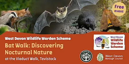 Bat Walk: Discovering Nocturnal Nature