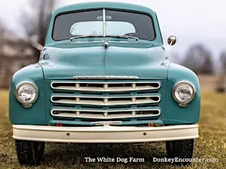 Rent our 1953 Studebaker Pickup for your Photo Shoot!
