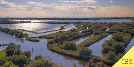 Alla scoperta delle Valli da Pesca