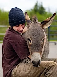 Group Donkey Encounter