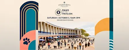 Paws at the Pavilion