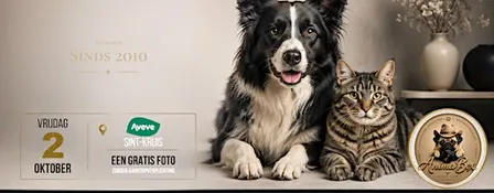 Aveve Sint-Kruis - AnimaBox fotosessie