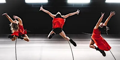 Vertical Dance Taster Sessions