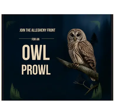 Owl Prowl with The Allegheny Front