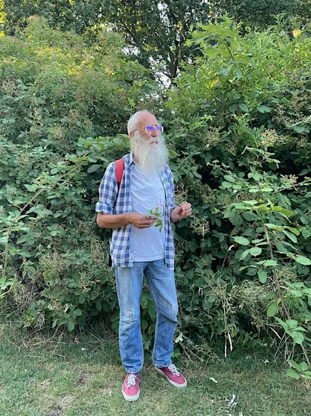 Morning Walk - Wonderful Weeds with Roy Vickery