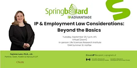 IP and Employment Law Considerations: Beyond the Basics