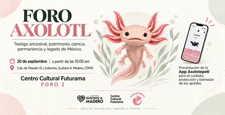 Foro Axolotl por Axolotepetl