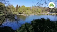 Stepping into a Landscape Story