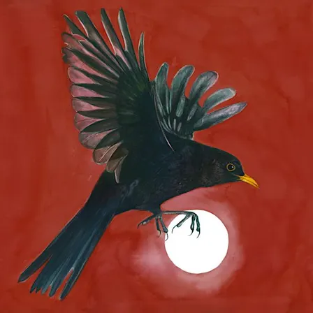 Seb Stone: The Blackbird Album Launch