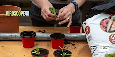 Giroscope 40: Lunch Plus with Pam Warhurst of Incredible Edible
