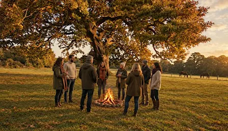 Centre and Focus, a nature based wellness retreat.