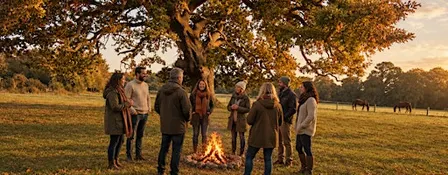 Centre and Focus, a nature based wellness retreat.