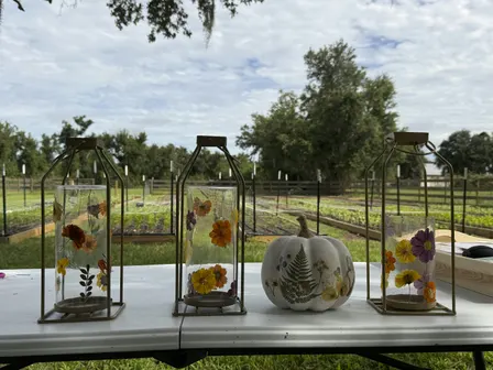 Lantern Flower-Press Workshop