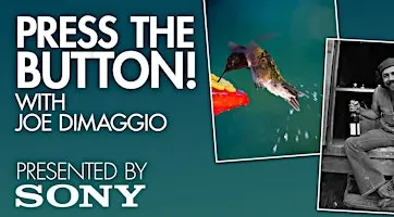 Press The Button! with pro photographer Joe DiMaggio