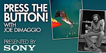 Press The Button! with pro photographer Joe DiMaggio