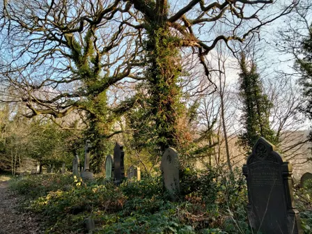 Creative Writing and Nature Walk - Walkley Cemetery and Rivelin
