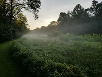 Build a Wildlife Hibernaculum from Invasive Plants