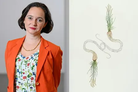 Roots and Rhizomes: Relational Networks in the Art of Carolina Caycedo
