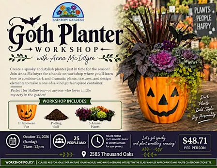 Goth Planter Workshop with Anna McIntyre