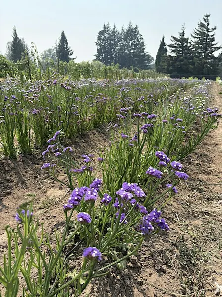 On the Road Tour - Putting the Garden to Bed; Getting Ready for Spring