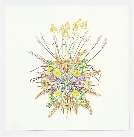 Public Tour | Plants as Medicine