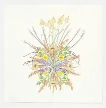 Public Tour | Plants as Medicine